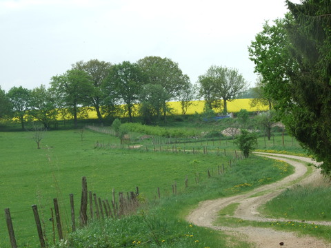 Galerie-Bild von Katrin Bergmann