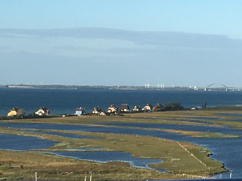 Galerie-Bild von Maike Beckmannshagen