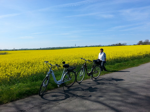 Galerie-Bild von Helga Teschner