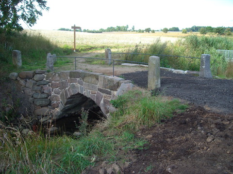 Galerie-Bild von Helga Teschner