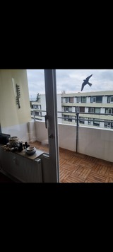 Ferienwohnung in Großenbrode - Vierjahreszeiten - Bild 9 Ferienwohnung in Großenbrode - Vierjahreszeiten - Bild 9