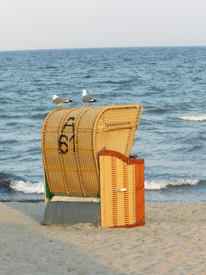 Ferienwohnung in Kellenhusen - Haus Sol Mare - Bild 17 Ferienwohnung in Kellenhusen - Haus Sol Mare - Bild 17