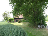 Ferienhaus in Michaelsdorf - Hagedorn -   Garten