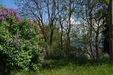 Ferienwohnung in Barhöft - Lotsenwohnung - Lotsenhaus Barhöft - Lotsenhaus - Garten