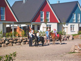 Ferienhaus in Fehmarn OT Todendorf - Köhlbrandt - Bild 1