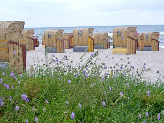 Ferienwohnung in Kellenhusen - Haus Sommerland DG 1 - Strand von Kellenhusen