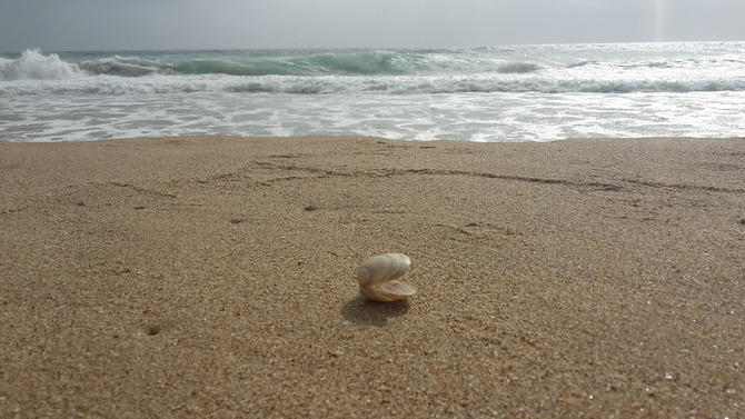 Ferienwohnung in Dahme - Seeblick - Bild 9
