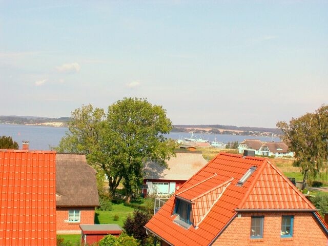 Ferienhaus in Gro&szlig; Zicker - Bel Air - Bild 15
