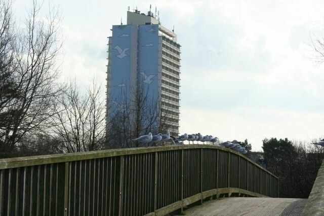 Ferienwohnung in Schönberg - Appartement K1414 - Bild 2