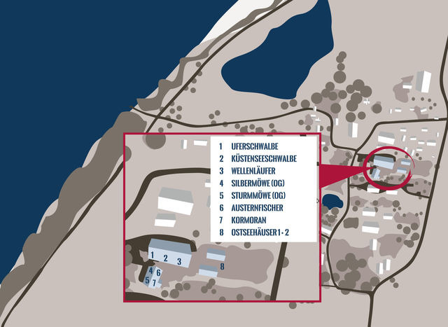 Ferienwohnung in Fehmarn OT Westermarkelsdorf - Kormoran - Bild 21