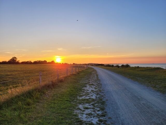 Ferienwohnung in Fehmarn OT Todendorf - Ferienhof Manowski Nr.1 - Bild 16
