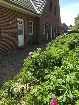 Ferienhaus in Fehmarn OT Sulsdorf - Bauernhof Kleingarn-Landhus Reihenhaus Nr. 24 - Bild 2