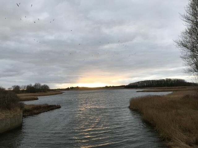 Ferienwohnung in Heiligenhafen - Ferienwohnung Meeresblick - Bild 24