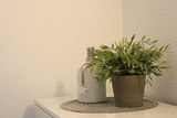 Ferienwohnung in Heiligenhafen - Seesternchen - Bild 14