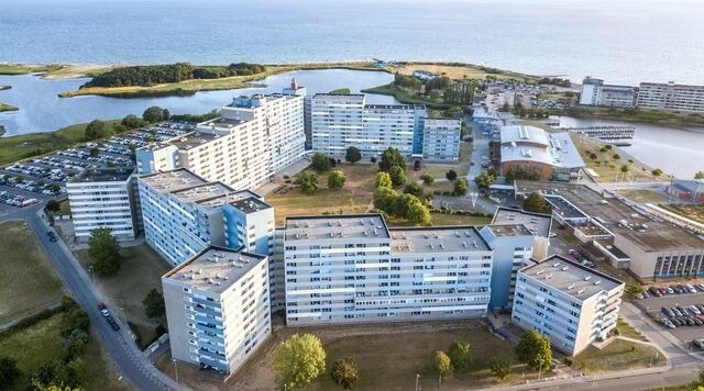 Ferienwohnung in Heiligenhafen - Seesternchen - Bild 23