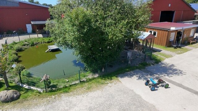 Ferienhaus in Fehmarn OT Sahrensdorf - "Bauernhof-Claussen", Haus Welle - Bild 21