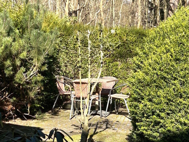 Ferienwohnung in Prerow - Eichenpark 5.1 - Bild 15