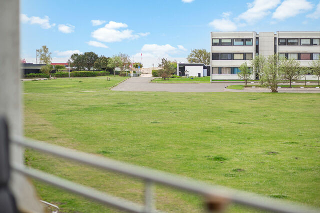 Ferienwohnung in Fehmarn OT Burgtiefe - Ferienwohnung Stranddistel in Burgtiefe - Bild 16