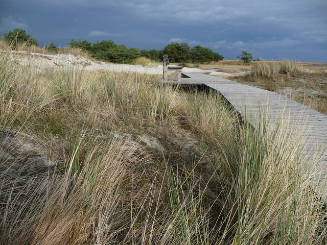 Ferienwohnung in Prerow - FeWo Abendsonne - Bild 19