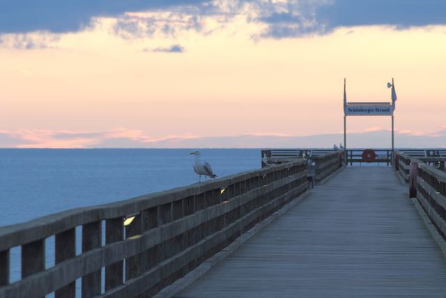 Ferienwohnung in Sch&ouml;nberg - Muschelkoje - Bild 3