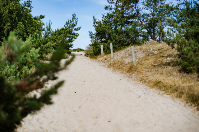 Ferienwohnung in Dierhagen - DER ST&Ouml;RTEBEKER - "Apartment Dierhagen" | Apartments hinter den D&uuml;nen - Bild 11