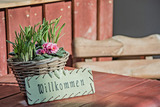 Ferienwohnung in &Uuml;ckeritz - Krebssee - Bild 14