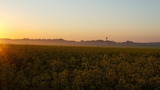 Ferienwohnung in Fehmarn OT Bannesdorf - Ferienhaus Am Feld, Whg. "Weizen" - Bild 10