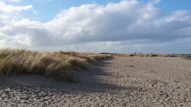 Ferienwohnung in Fehmarn OT Todendorf - Haus am Teich - Teichblick - Bild 22