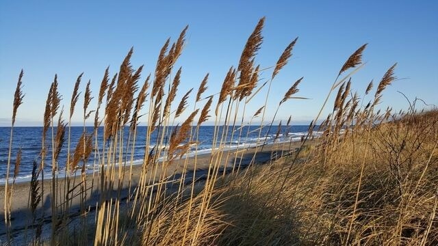 Ferienwohnung in B&ouml;rgerende - Baltic Dreams - Residenz am Meer 08 - Bild 19