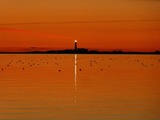 Ferienwohnung in Fehmarn - S&uuml;dwind - Bild 20