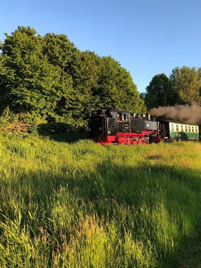 Ferienwohnung in Zirkow - Fewo Storchennest - Bild 19