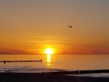 Ferienwohnung in Zingst - Ostseeresidenz - Whg. 24 - Bild 18