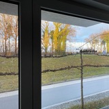 Ferienwohnung in Ostseeheilbad Zingst - Seestra&szlig;e 71 Ap. 7 - Bild 8