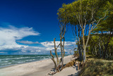 Ferienwohnung in Zingst - Whg. 17 - De M&uuml;gg - Bild 13