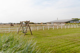 Ferienhaus in Fehmarn OT Staberdorf - Reethaus 2A - Bild 22