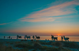 Ferienwohnung in Fehmarn OT Westermarkelsdorf - Windhauch - Bild 9