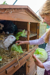 Ferienwohnung in Fehmarn OT Wenkendorf - Ferienhof Marquardt Fewo Mohnblume - Bild 18