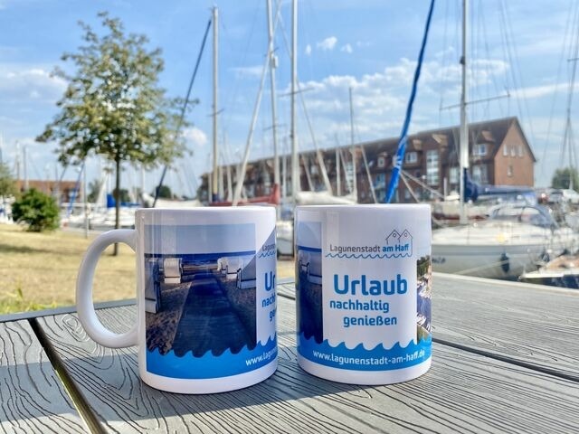 Ferienwohnung in Ueckerm&uuml;nde - Lagunenstadt am Haff Fewo 210 - Boje - Bild 11