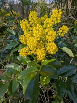 Ferienwohnung in Carinerland - Zirkuswagen - Roulotte - Bild 10 Ferienwohnung in Carinerland - Zirkuswagen - Roulotte - Bild 10