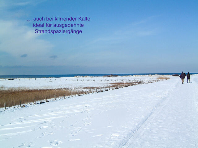 Ferienwohnung in Wendtorf - Whg. Sturmm&ouml;we - Haus Nordlichter - Bild 24