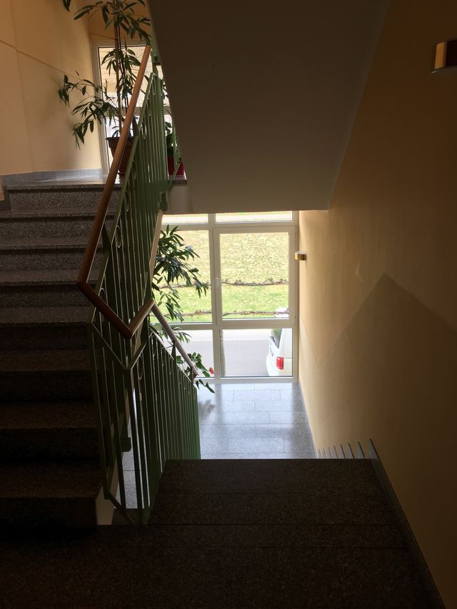 Ferienwohnung in Zingst - RENOVIERT Meerlust App 6 - Bild 17