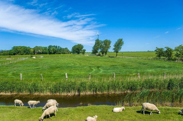 Ferienhaus in Fehmarn OT Vitzdorf - Ferienhaus Meerit - Bild 20