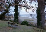 Ferienwohnung in Pelzerhaken - Fewo Muschelgetuschel im Prinz Hamlet - direkte Strandlage - Bild 25