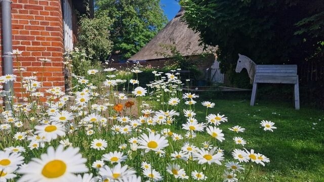 Ferienwohnung in Riepsdorf - Urlaub mit Hund - aktuell noch freie Kapazit&auml;ten im Sommer! - Bild 9
