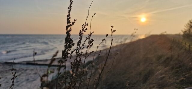 Ferienwohnung in Riepsdorf - Urlaub mit Hund - aktuell noch freie Kapazit&auml;ten im Sommer! - Bild 23