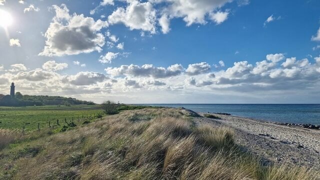 Ferienwohnung in Riepsdorf - Urlaub mit Hund - aktuell noch freie Kapazit&auml;ten im Sommer! - Bild 24