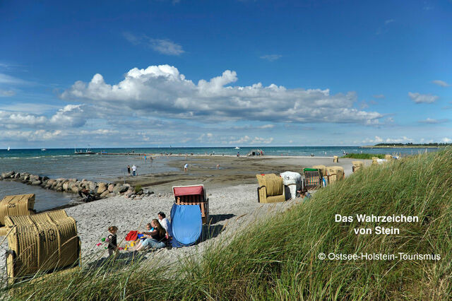 Ferienwohnung in Stein - Whg. Strandläufer- Haus Nordlichter - Bild 14