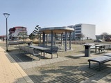 Ferienwohnung in Fehmarn OT Burgtiefe - "Apartment - FerienOase" mit Blick auf Yachthafen - Bild 1