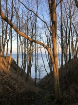 Ferienhaus in Steinbeck - MP 9 Villa - Bild 13