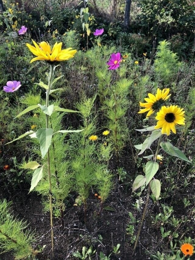 Ferienhaus in Steinbeck - MP 9 Villa - Bild 19